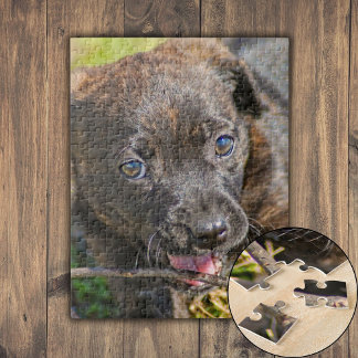 Puzzle Chiot broché mâcher sur Twig