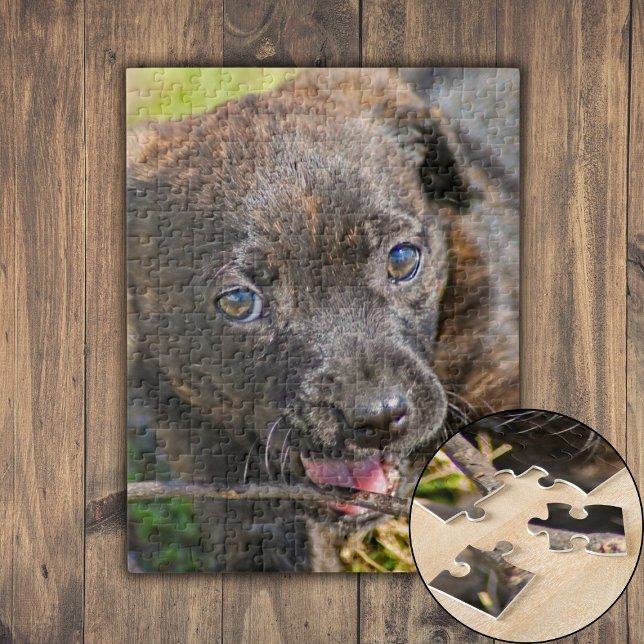 Puzzle Chiot broché mâcher sur Twig (Brindle Puppy Chewing on Twig Jigsaw Puzzle)