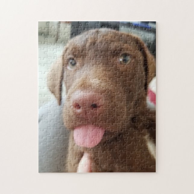 Puzzle Chiot Brown (Vertical)
