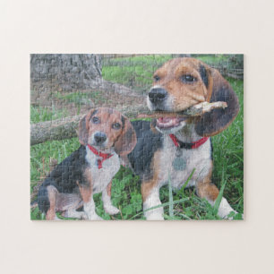 Puzzle Chiot de beagle appréciant la mastication sur un