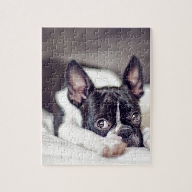 Puzzle Chiot de Boston Terrier (Vertical)