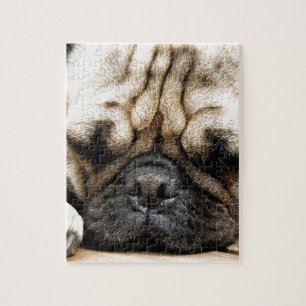 Puzzle Chiot de carlin