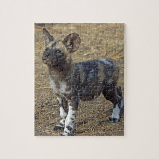 Puzzle Chiot de chien sauvage