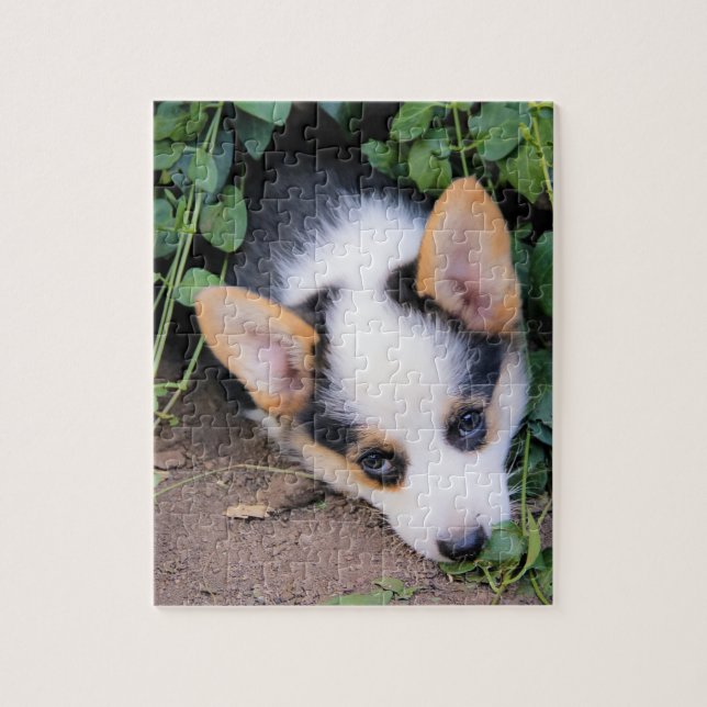 Puzzle Chiot de corgi de Gallois de Pembroke (Vertical)