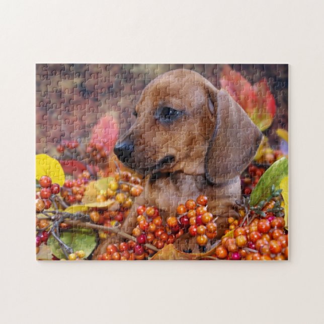 Puzzle Chiot de l'automne Dachshund (Horizontal)
