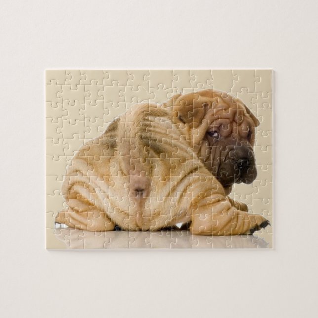 Puzzle Chiot de Shar-pei de Chinois (Horizontal)