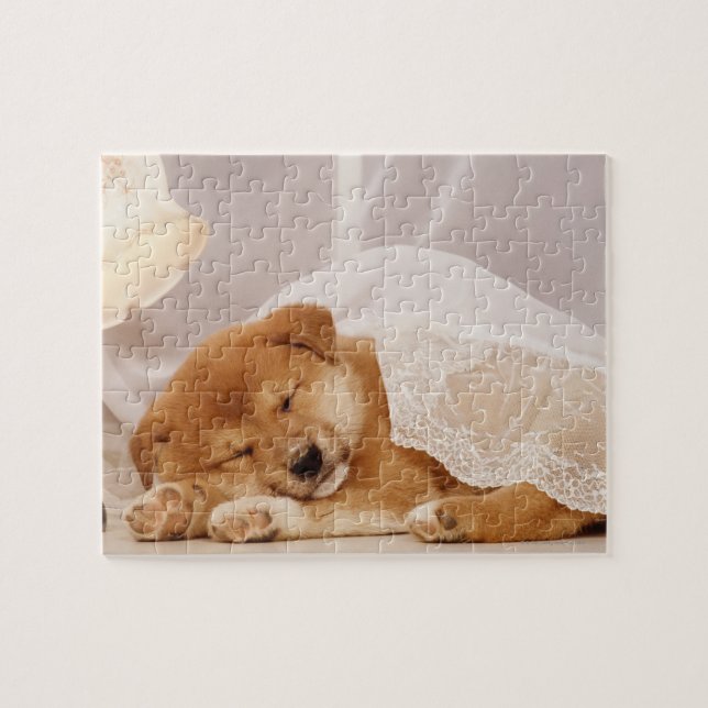 Puzzle Chiot de Shiba Inu dormant sous un rideau net (Horizontal)
