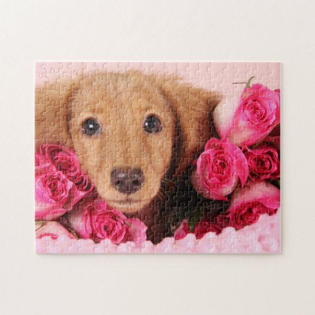Puzzle Chiot de teckel entouré par des roses (Horizontal)