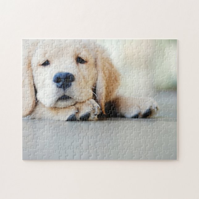 Puzzle Chiot doré rétrificateur doré (Horizontal)