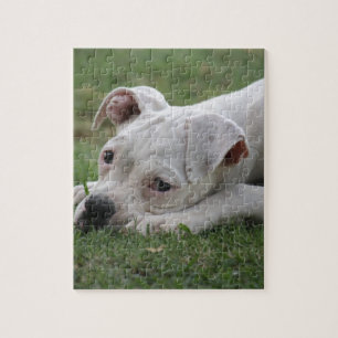 Puzzle Chiot doux de boxeur