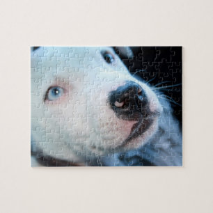 Puzzle Chiot Editable de blanc de Pitbull de bébé