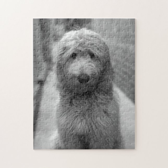 Puzzle Chiot Goldendoodle en Jardin (Vertical)