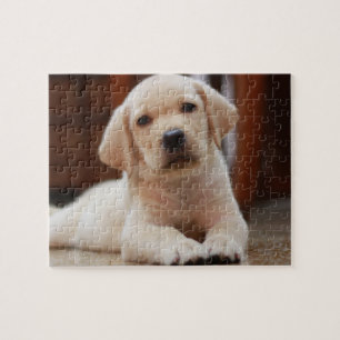 Puzzle Chiot jaune de Labrador de bébé s'étendant sur le