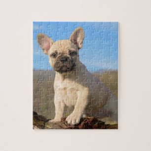 Puzzle Chiot mignon de bouledogue français