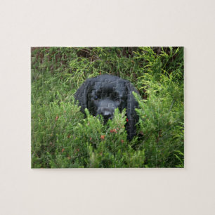 Puzzle Chiot noir de laboratoire