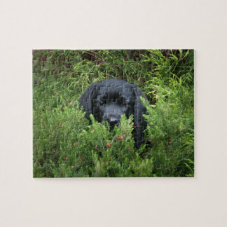 Puzzle Chiot noir de laboratoire