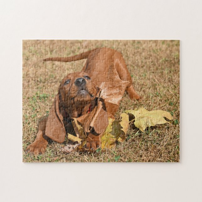 Puzzle Chiot Redonhound Jouant Avec Des Feuilles (Horizontal)