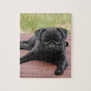 PUZZLE CHIOT VIGILANT DE CARLIN