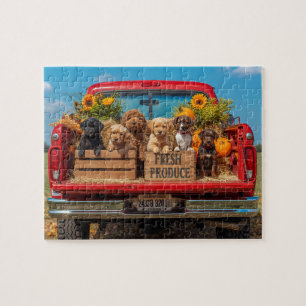Puzzle Chiots Camion Rouge Tournesols Récolte D'automne