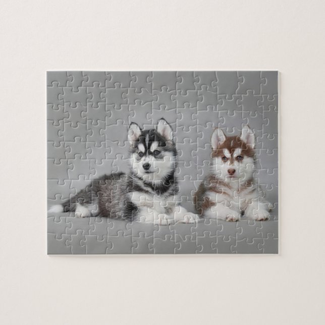 Puzzle Chiots husky sibériens (Horizontal)