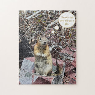Puzzle Chipmunk
