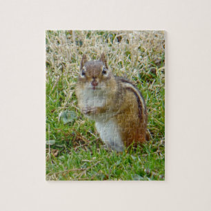 Puzzle Chipmunk oriental