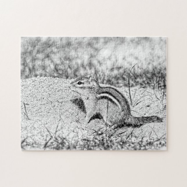 Puzzle Chipmunk Sketch (Horizontal)