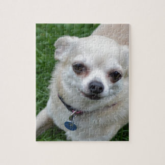 Puzzle Chiwawa