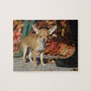 Puzzle Chiwawa