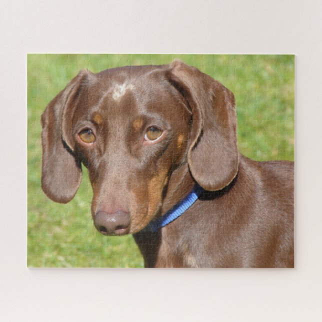 Puzzle Chocolat et bronzage Dachshund (Horizontal)
