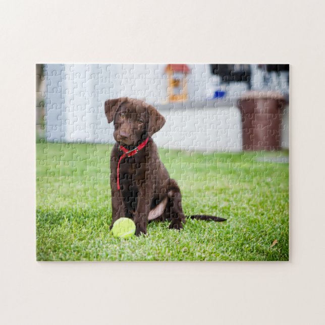 Puzzle Chocolat Labrador Puppy Avec Tennis Ball (Horizontal)