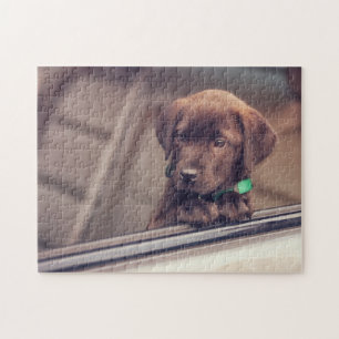 Puzzle Chocolat Labrador Puppy In Car