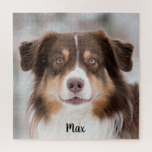 Puzzle Chocolate Australian Shepherd Puppy Dog