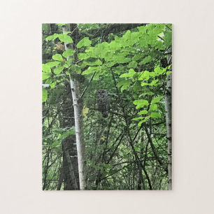 Puzzle Chouette dans les arbres, Oregon