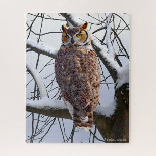 Puzzle "Chouette en hiver"