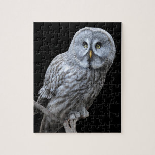 Puzzle Chouette grise