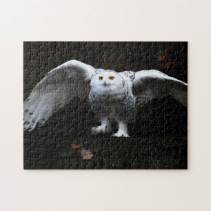 Puzzle Chouette neige avec ailes ouvertes 11x14 252pc jpc