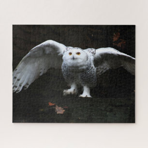 Puzzle Chouette neige avec ailes ouvertes 16x20 520pc jpc