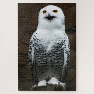 Puzzle Chouette neigeuse 20x30 1014pc jpcnm