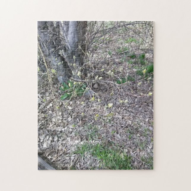 Puzzle choux bourgeons de mars (Vertical)