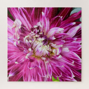 Puzzle Chrysanthème pourpre - Fleur 20x20