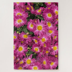 Puzzle Chrysanthèmes en fleurs en automne