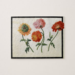Puzzle Chrysanthèmes (la semaine sur le papier)