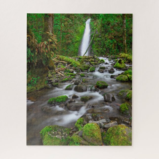 Puzzle Chutes du ruisseau Ruckel, Columbia River Gorge Or (Vertical)