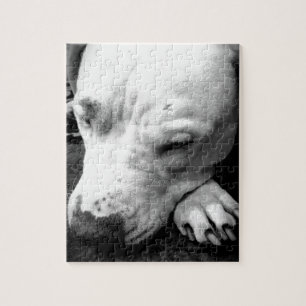 Puzzle cicatrice de harry potter chien pit bull blanc