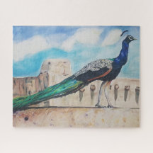 Ciel Peacock