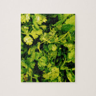 Puzzle Cilantro / Coriander Feuilles