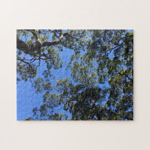 Puzzle cimes d'arbres