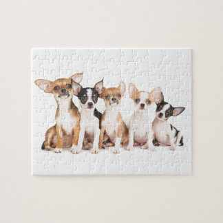 Puzzle Cinq chiots mignons