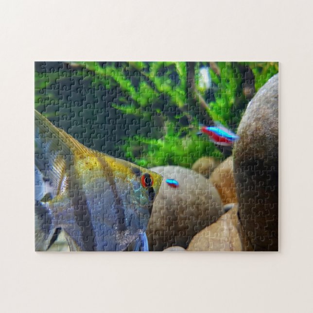 Puzzle Citerne à poissons tropicaux d'Ange (Horizontal)